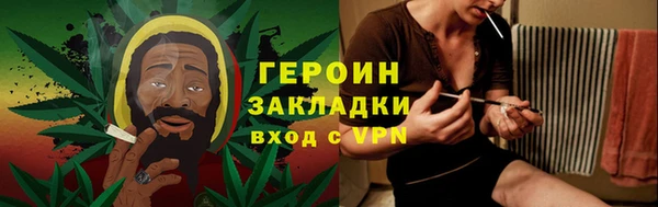 индика Бабаево