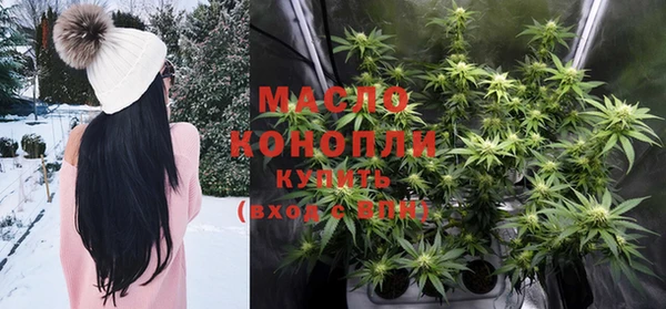 МДПВ Аша